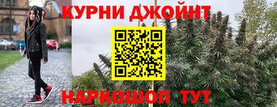 ешки Новодвинск