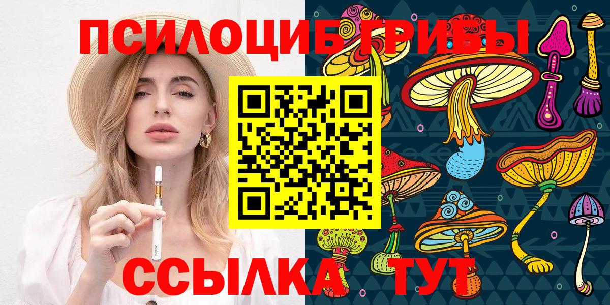 Псилоцибиновые грибы мицелий Скопин
