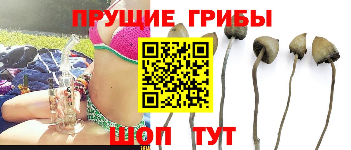 Псилоцибиновые грибы мухоморы  Галлюциногенные грибы GOLDEN TEACHER  Скопин  Вход с VPN 